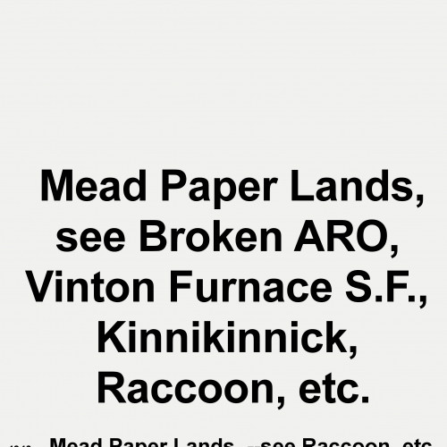 4340-Mead-Paper-Lands-see-Raccoon-etc.-